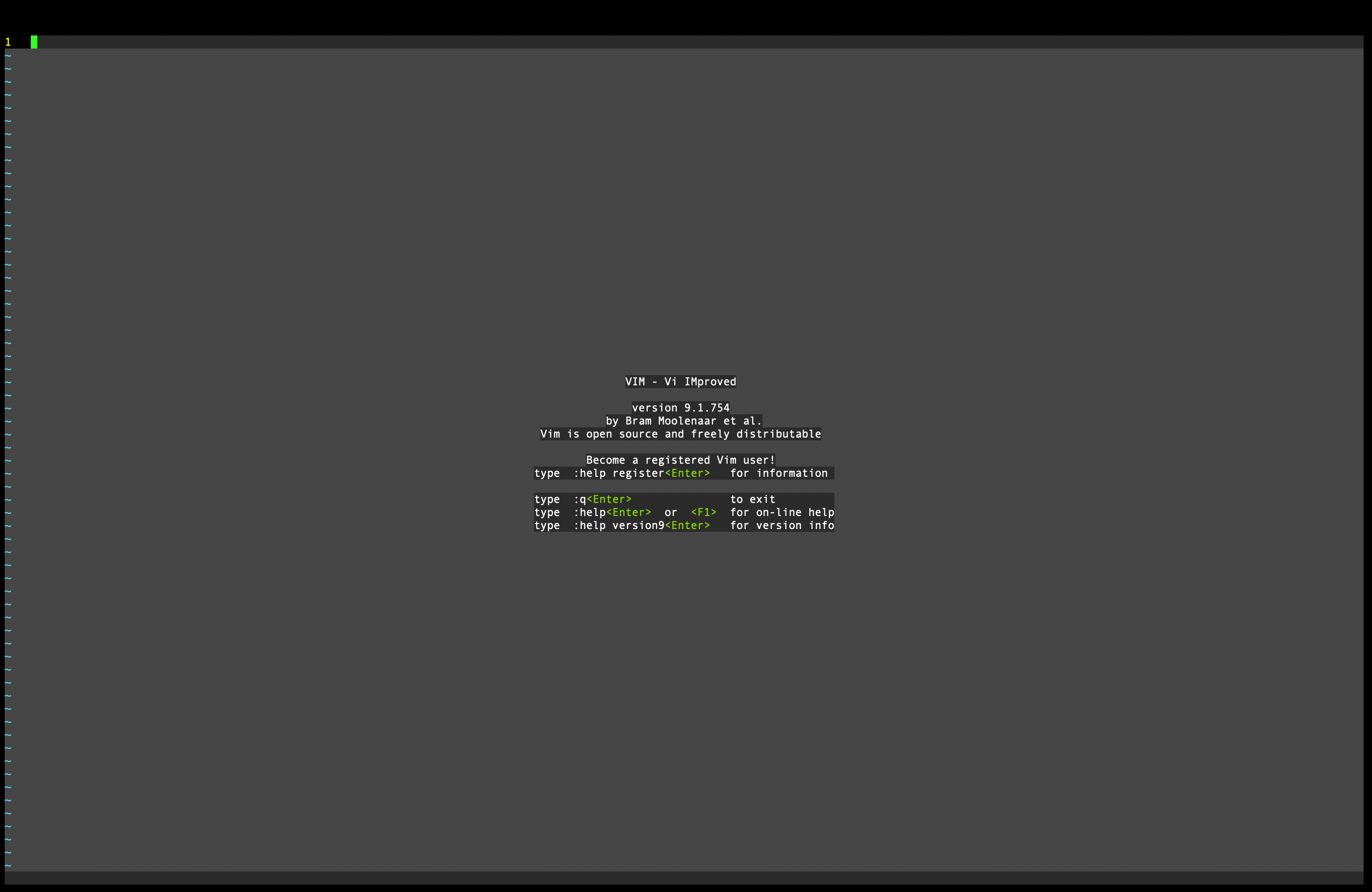 vim